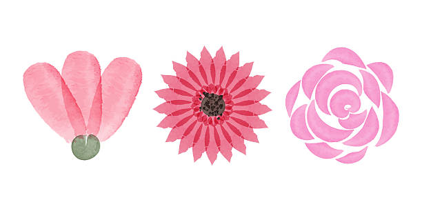 istock Watercolor floral elements for cards, invitations, and designs 2241222159