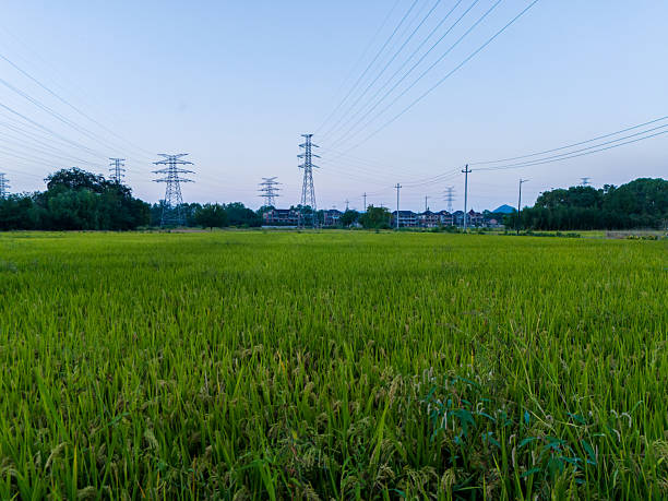 Low angle view of power towers at sunset