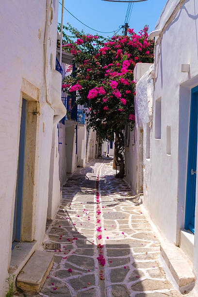 istock Parikia street with blooming bougainvillea tree 2241228357