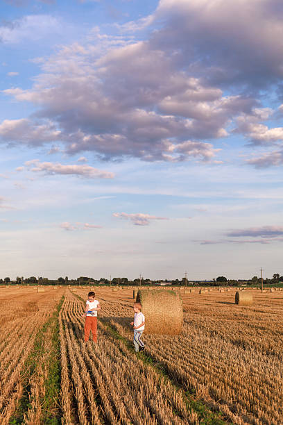 Two brothers playing near a hay bale on a harvested wheat field in golden light. Perfect image for seasonal postcard or harvest banner with copy space.