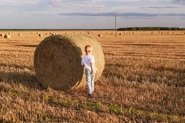 Boy standing near a large hay bale on a harvested wheat field in warm evening light. Peaceful rural landscape with copy space for banner or background.