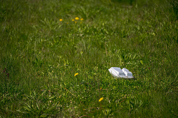 Styrofoam food container discarded on grass.