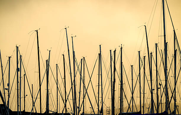 Sailboat masts forming geometric silhouettes in marina.