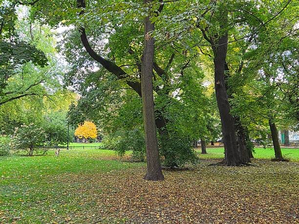 istock A colorful view of a park in Krakow. 2241236344