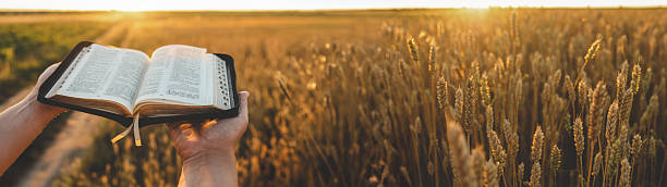 istock Hands holding an open Bible in a wheat field at sunset 2241237019