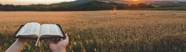 istock Open Bible held in hands with a wheat field background at sunset 2241237057