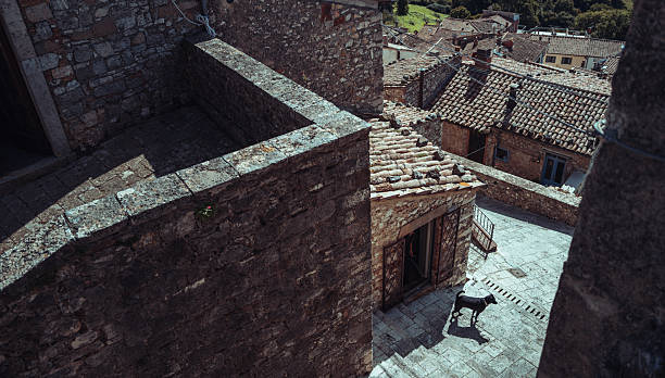 A black dog stands in the corner of a stone courtyard surrounded by old Tuscan buildings. The high vantage point and sharp geometric walls emphasize the contrast between architectural scale and the small living presence within it.