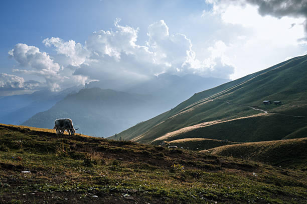 Scenic Valley (Großes Walsertal / Vorarlberg / Austria) @Metzgertobel