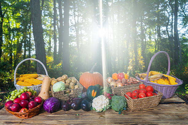 Assorted vegetables. Variety of vegetable. Mixed fruit and vegetable. Selection of vegetables on nature background. Vegetable mix assortment in basket. Set of autumn vegetables. Harvest concept