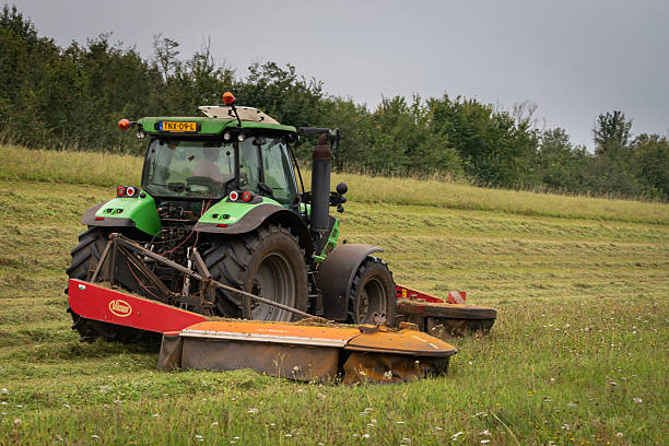 Meadow with tall grass and flowers. On the background is the grass mowed and on the horizon there is a defocused tractor mowing the grass.