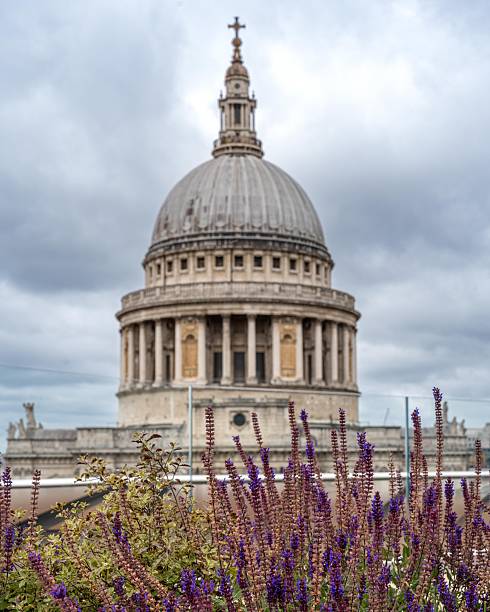 St. Paul's Cathedral dome with vibrant purple flowers in the foreground under a cloudy sky in London.