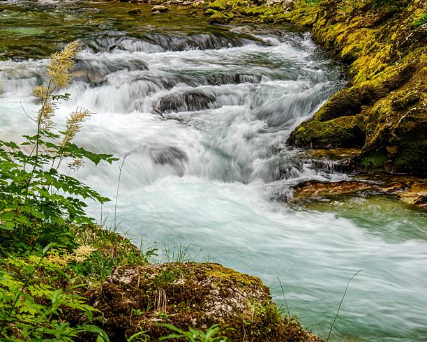 istock Serene River Flowing Through Lush Landscape 2241239658