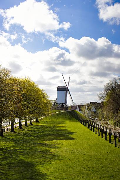 Picturesque windmill surrounded by lush greenery and cloudy skies in a charming European village.