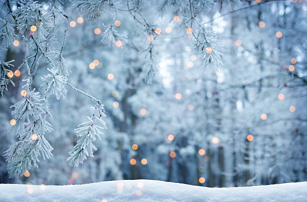 istock Frosty Pine Branches With Warm Christmas Lights in a Snowy Winter Scene Creating a Magical Outdoor Atmosphere 2241244160