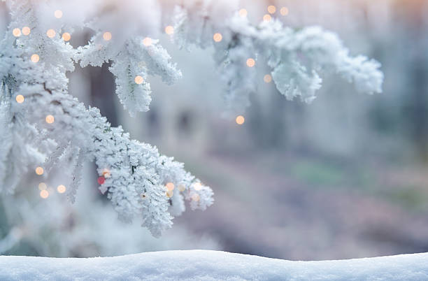 istock Frosted Tree Branches in a Quiet Winter Forest with defocused lights for Christmas celebration 2241244252
