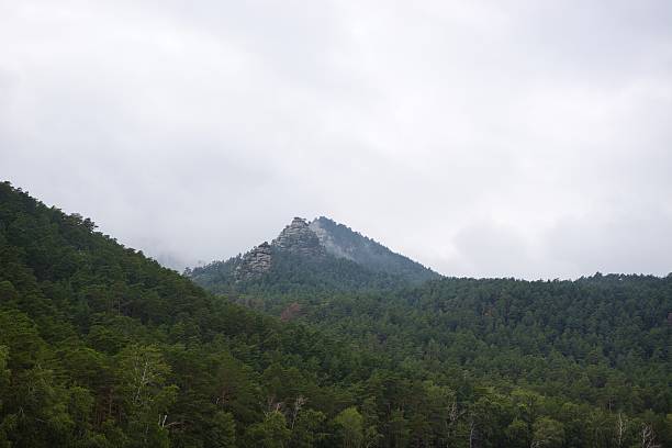 istock Misty mountain peak rises above lush forest landscape 2241245802