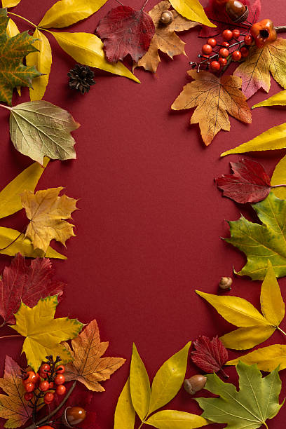 istock Vibrant autumn leaves frame a rich red vertical background, accented by berries and pinecones. A vertical arrangement creates a warm seasonal mood for fall decor and promotions 2241245921