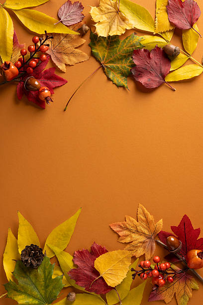 istock Vertical composition showcasing autumn leaves, berries, pinecones and a warm orange backdrop. A vibrant fall scene ideal for seasonal projects, nature themed designs, rustic home decor and layouts 2241245952