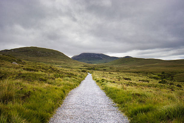 Solitary hiking path winding through the lush, rolling hills of the Scottish Highlands under a dramatic, moody sky.