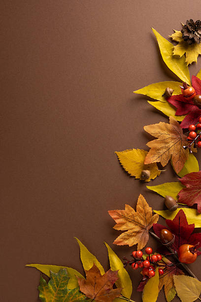 istock Vertical autumn display with colorful leaves berries and pine cones on a brown background, a warm seasonal decor scene ideal for fall crafts harvest events and rustic centerpiece ideas 2241246018