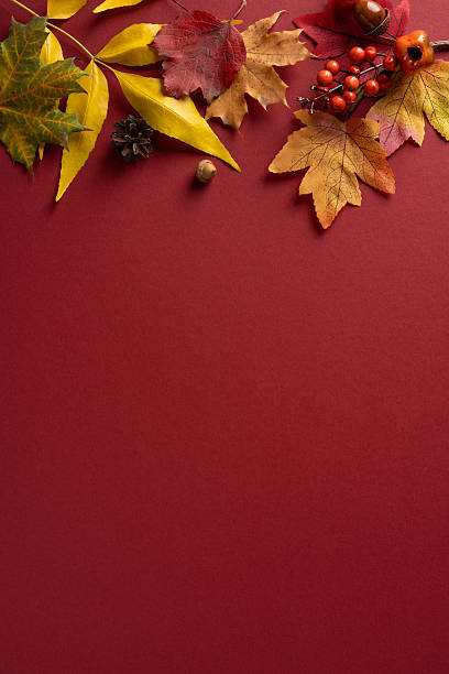 istock Autumn leaves frame a deep red background with berries and pinecones, creating a warm rustic vertical layout perfect for seasonal projects 2241246020