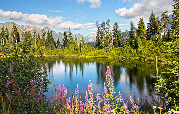 istock Summer in North Cascades 2241250817