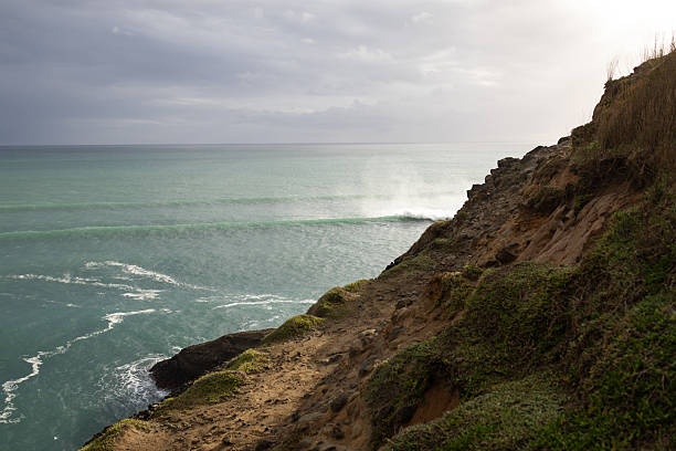 Coastal cliffs in Piha near Auckland, New Zealand.