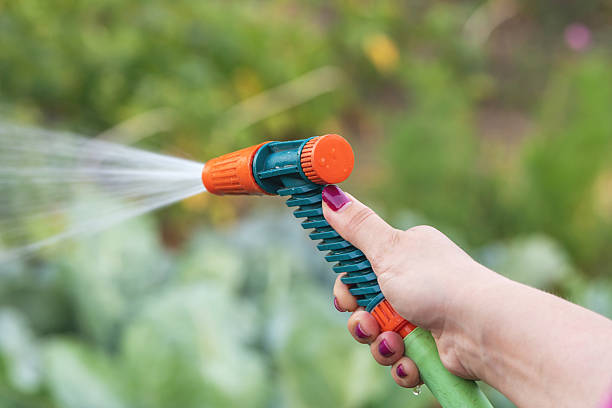 istock A hand watering the garden with a spray hose 2241259425