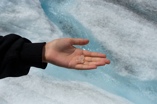Glacier Fragment: Holding a piece of ancient ice. Athabasca Glacier, Columbia Icefield, AB