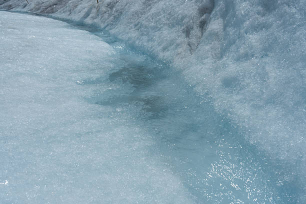 Fresh water flowing over a mass of compacted ice and snow. Athabasca Glacier, Columbia Icefield, AB