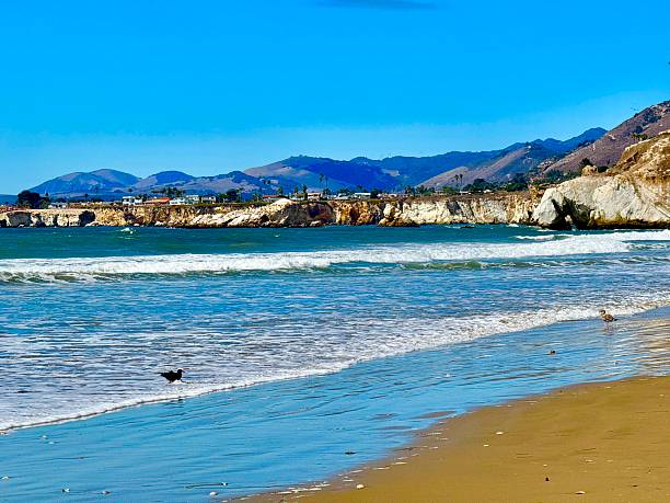 Pismo Beach is a California beach town on the Central Coast known for its for its long, sandy beaches, pier, and driving on the sand dunes.
