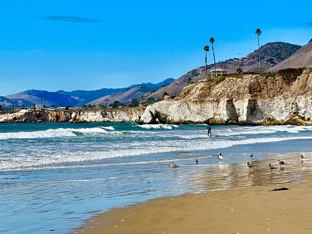istock Pismo Beach, California 2241271440
