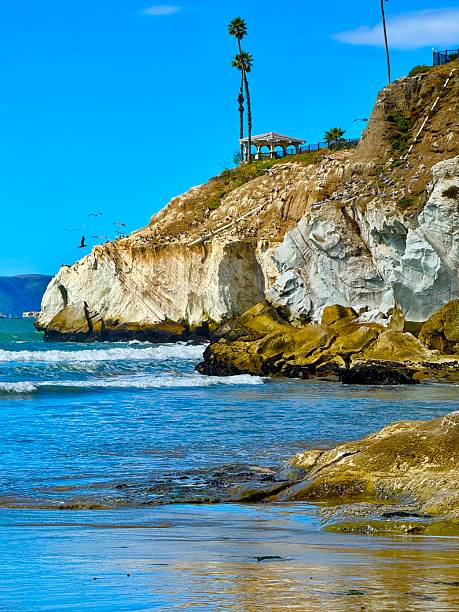 istock Pismo Beach, California 2241271442