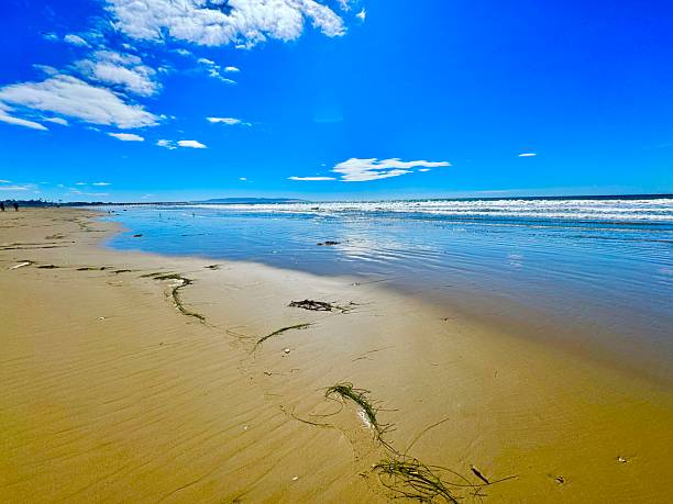 Pismo Beach is a California beach town on the Central Coast known for its for its long, sandy beaches, pier, and driving on the sand dunes.