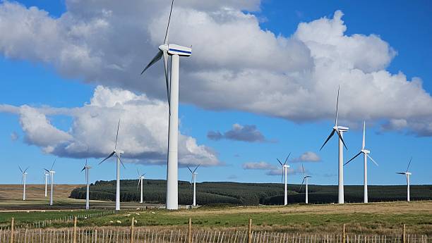 istock Wind farm with modern wind turbines under blue sky 2241276456