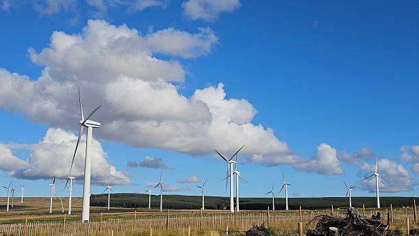 istock Wind farm with modern wind turbines under blue sky 2241277824