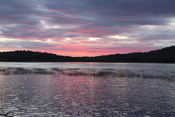 A breathtaking sunset blankets the sky above a calm wilderness lake. The horizon glows with a vivid blend of golden yellow, orange, pink, and violet hues, seamlessly transitioning into deep twilight blues. The water is glassy, reflecting the brilliance of the sky above while remaining gently rippled. Tree silhouettes line the distant shore, with overhanging branches subtly framing the upper corners of the image. The mood is quiet, serene, and awe-inspiring—capturing nature’s most peaceful transition from day to night.