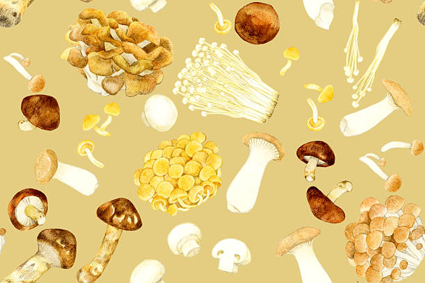 istock Seamless pattern of edible mushrooms. Hand-drawn watercolor vegetable illustration background material. 2241292116