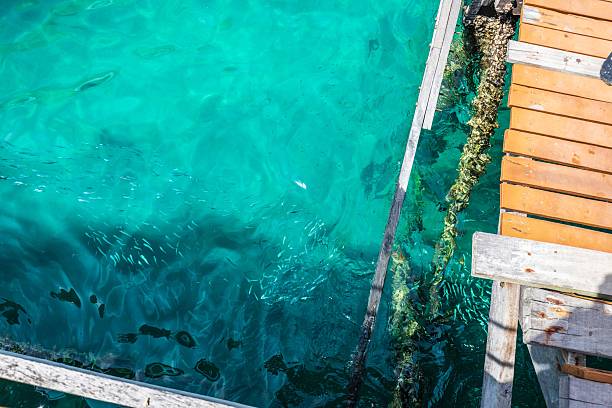 istock Turquoise Serenity: Wooden Dock Over Crystal-Clear Coastal Waters with Sunlit Ripples 2241295666