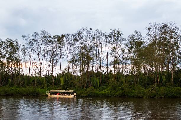 istock Tourist Boat on a River Against a Dense Forest Canopy 2241296922