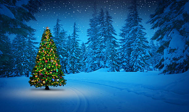 istock Christmas Tree In The Evening  Snow 2241304602