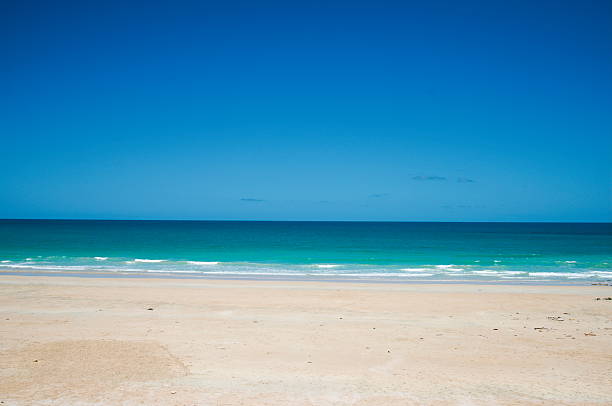 beautiful beach and tropical sea