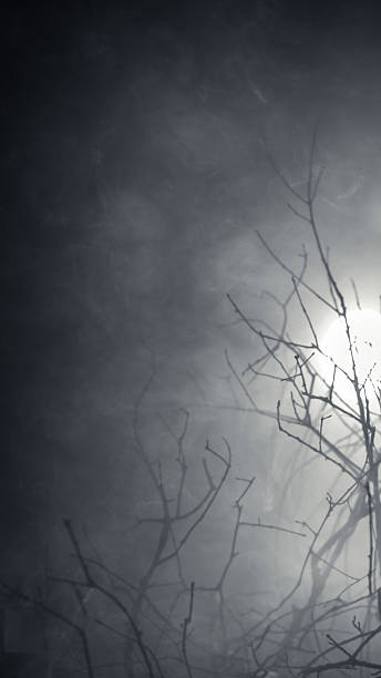 istock Mysterious wilderness at midnight covered in dense fog lit by moonlight. Dramatic smoky atmosphere effect around bare branches in a deserted woodland for spooky Halloween background or wallpaper. 2241306264