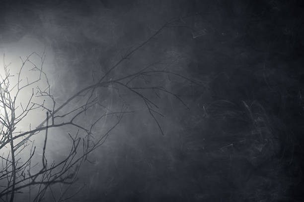 istock Mysterious wilderness at midnight covered in dense fog lit by moonlight. Dramatic smoky atmosphere effect around bare branches in a deserted woodland for spooky Halloween background or wallpaper. 2241306317