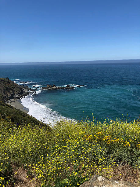 istock Big Sur Road Trip 2241306339