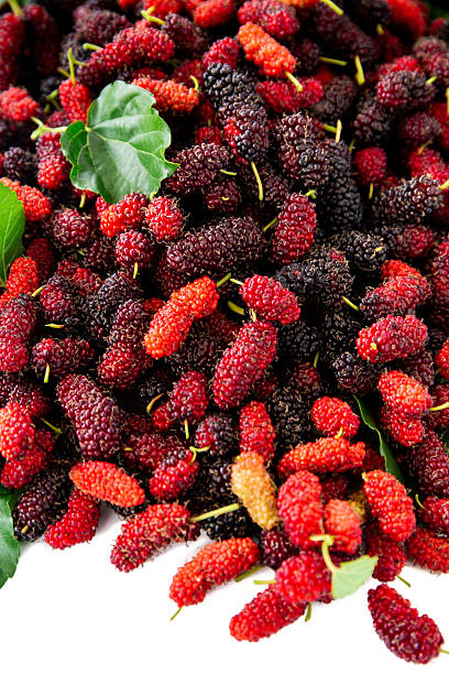 Ripe mulberry.