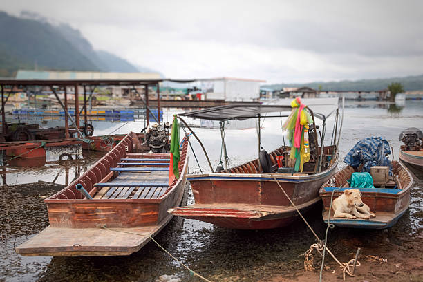 Long tail boat parked on the banks of the river