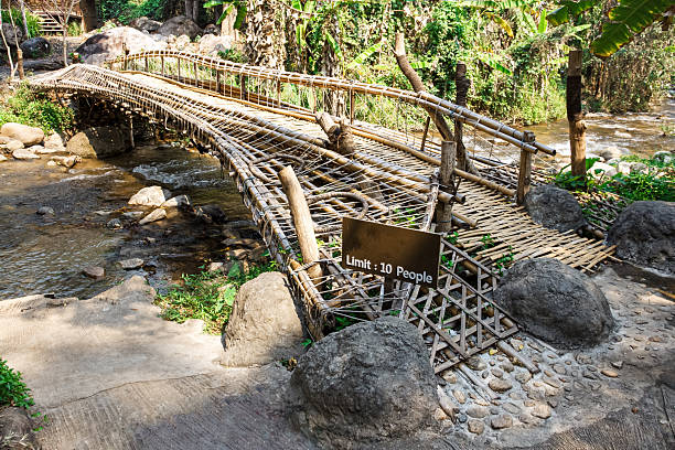 istock The bridge is made of bamboo, built in the forest. 2241330334