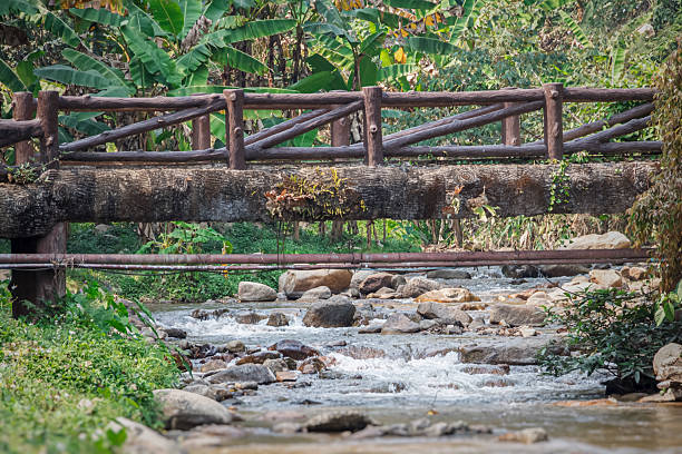 istock The bridge is made of bamboo, built in the forest. 2241330581