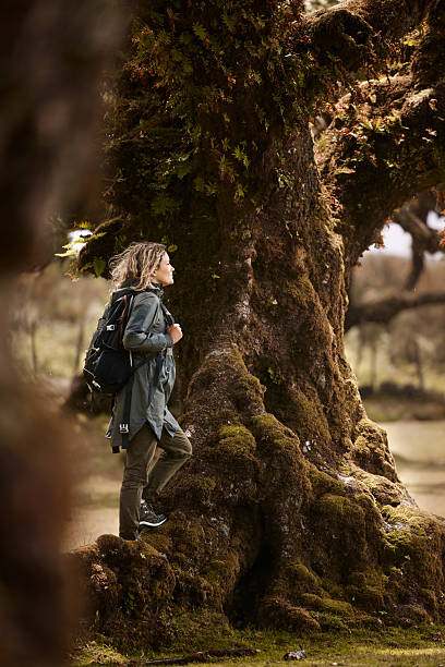 istock Carefree female hiker standing on a tree in the forest. 2241330735